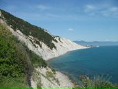 Герман Марков фотография #31 (источник - https://vk.com/id5027730)