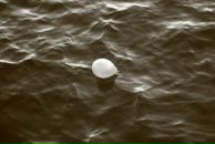 Ivan Yagun фотография #36 (источник - https://vk.com/id2016594)