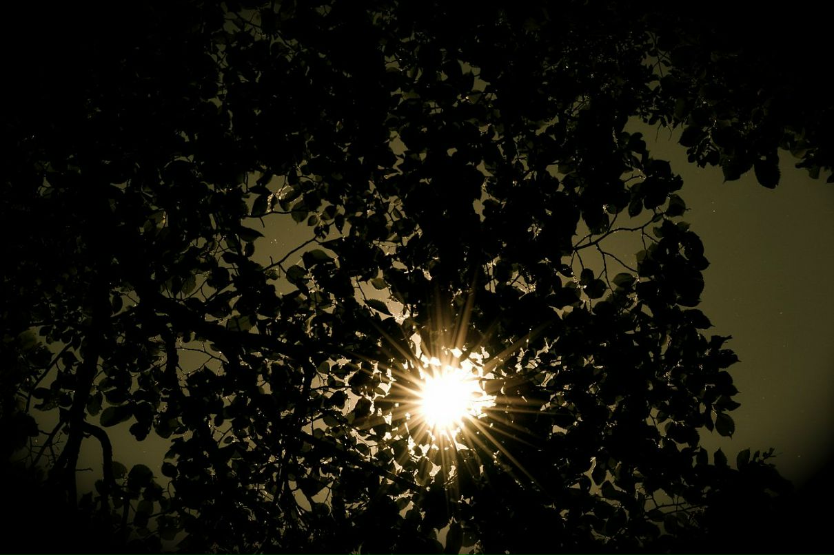 Антон Веселов фотография #49