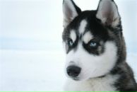 Фотография Фёдоровой Екатерины