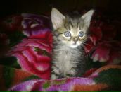 Фотография Журавлёвой Марины