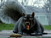 Andrey Stepanov фотография #13 (источник - https://vk.com/id479203)