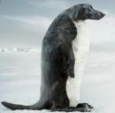 Фотография Верховского Романа