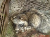 Александр Минченков фотография #19 (источник - https://vk.com/id117911040)