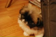 Фотография Алуферовой Светланы