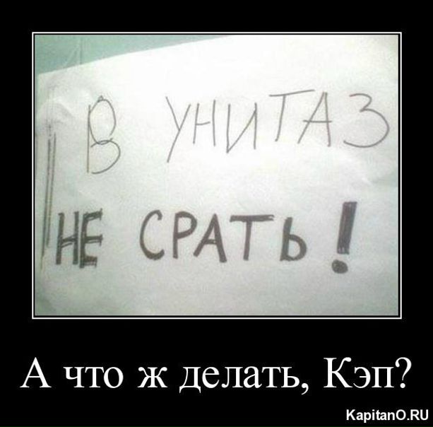 Константин Кизеев фото №5