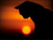 Фотография Игнатенко Марии