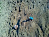 Сергей Михайличенко фотография #24 (источник - https://vk.com/id2072173)