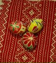Ірина Козій фотография #43 (источник - https://vk.com/id135141268)