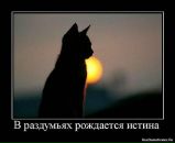 Міша Лобоцький фотография #18 (источник - https://vk.com/id21356970)
