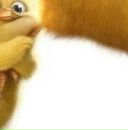 Іра Марциняк фотография #12 (источник - https://vk.com/id148611521)