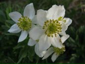 Фотография Виты Светланы