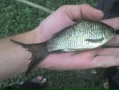 Мішка Тирпак фотография #15 (источник - https://vk.com/id93025430)