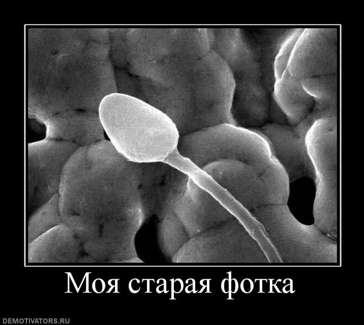 Ivan Ivanov фотография #36