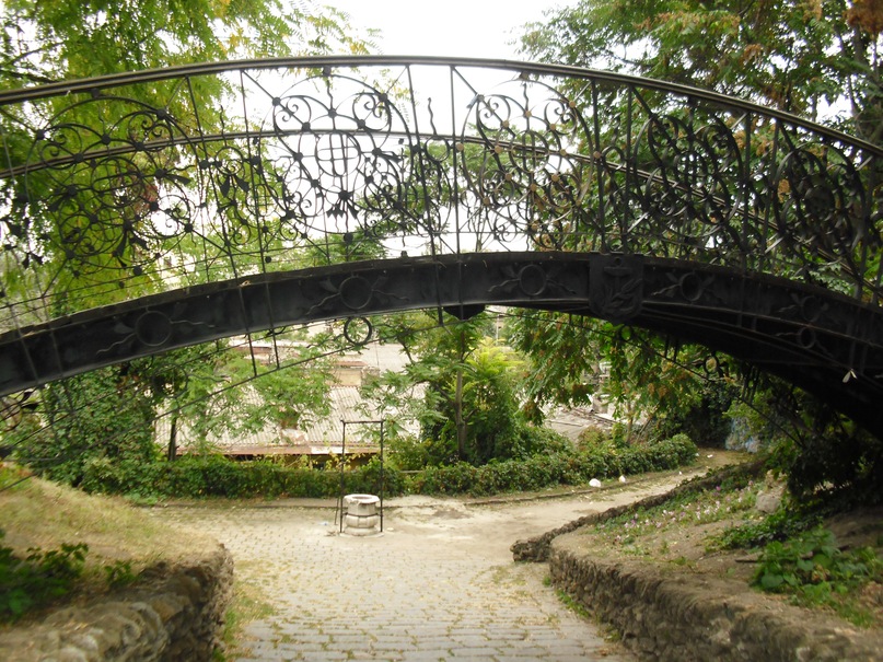 Natalie Evsyukov фотография #27