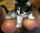 Фотография Щербаковой Анны