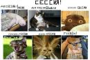 Фотография Полякова Олега