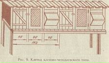 Андрій Шманько фотография #7 (источник - https://vk.com/id65272587)