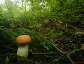 Олександр Кришталь фотография #11 (источник - https://vk.com/id22448110)