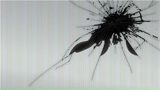 Фотография Хайруллин Макс