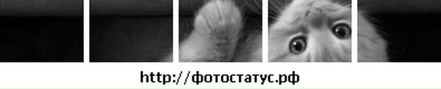 Діана Михайлюк фотография #45 (источник - https://vk.com/id131983154)