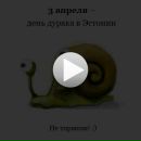 Александр Пирог фотография #39 (источник - https://vk.com/id40974227)