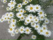 Фотография Иванова Константина