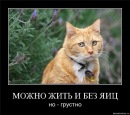 Максим Пішко фотография #5 (источник - https://vk.com/id136582905)