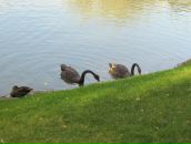 Ігор Слабоус фотография #11 (источник - https://vk.com/id20169653)