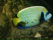 Фотография Новиковой Марины