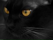 Фотография Умушкиной Юлии