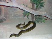 Cetın Demır фотография #14 (источник - https://vk.com/id126261981)