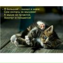 Лілія Гамчук фотография #21 (источник - https://vk.com/id141696532)