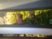 Боря Сідько фотография #50 (источник - https://vk.com/id12699408)