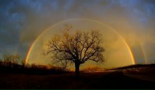 Даніель Стерваницький фотография #9 (источник - https://vk.com/id100572312)