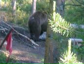 Фотография Бикаева Алексея