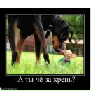 Андрій Хтей фотография #16 (источник - https://vk.com/id158197641)