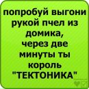 Діана Ковалюк фотография #21 (источник - https://vk.com/id92113457)