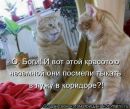 Фотография Тихомировой Веры