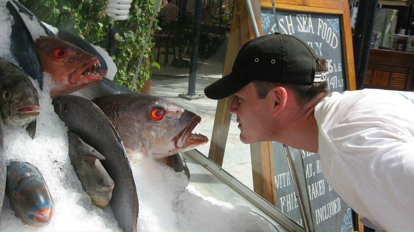 Талгат Хамидуллин фотография #31