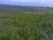 Олексій Рудий фотография #4 (источник - https://vk.com/id65744401)