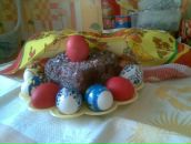 Фотография Зайко Олеси