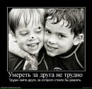 Ігорь Шевчук фотография #32 (источник - https://vk.com/id165487716)