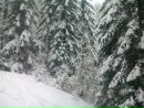 Ігор Козаков фотография #26 (источник - https://vk.com/id160356261)
