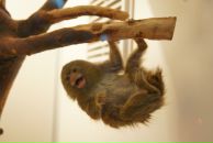 Фотография Бесклеткиной Виктории