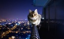 Фотография Behappy Inga