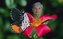 Фотография Копёнкина Александра