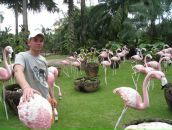 Фотография Садовникова Артёма