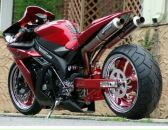 Славік Попович фотография #1