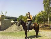 Фотография Гардашова Тургута